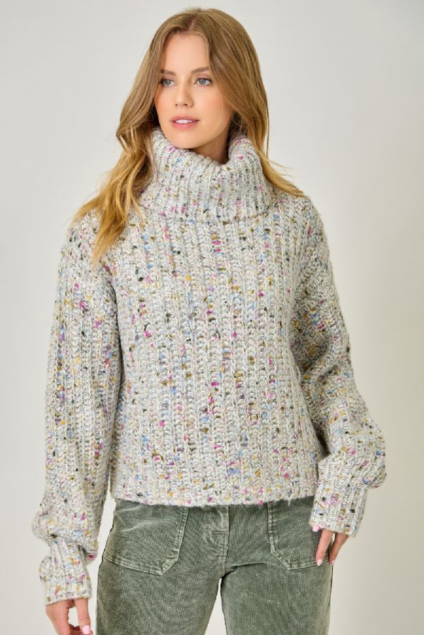 Turtle Neck Multi Colored Knit