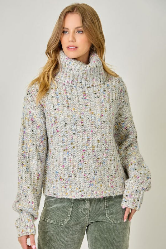 Turtle Neck Multi Colored Knit
