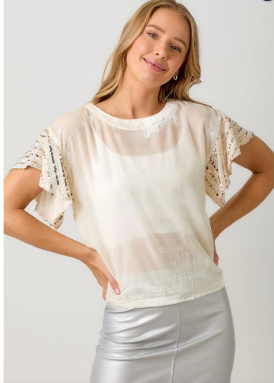 Addy Short Sleeve Embellished Velvet Top