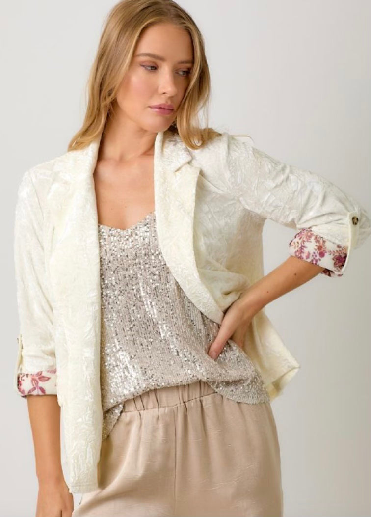 Chloe Velvet Blazer With Accent Sleeves