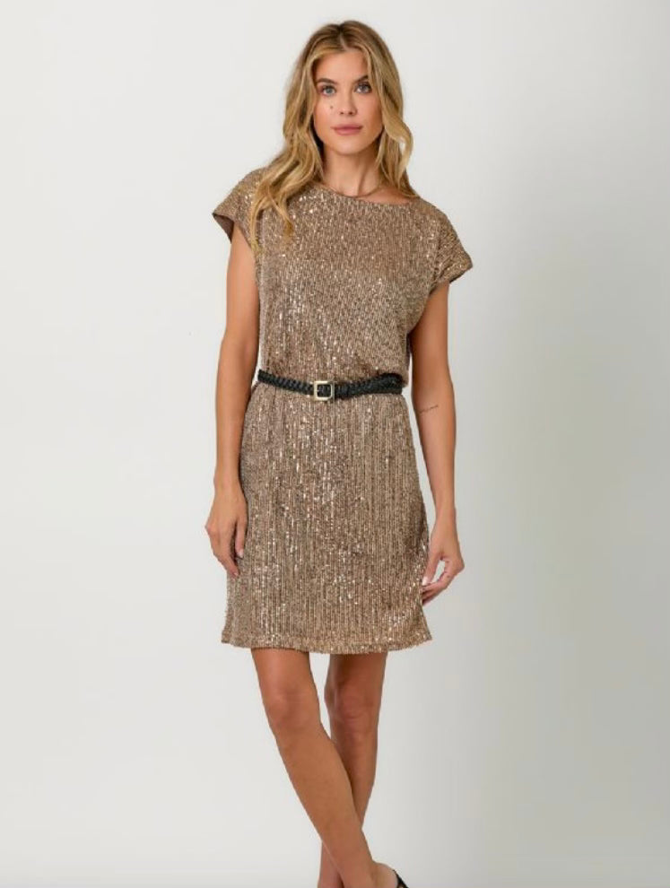 Olivia Sequin Shift Dress