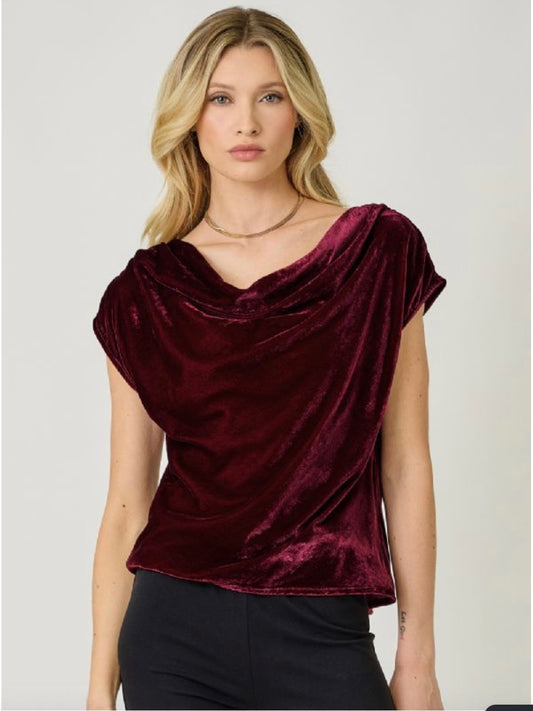 Valerie Velvet Cowl Neck Top